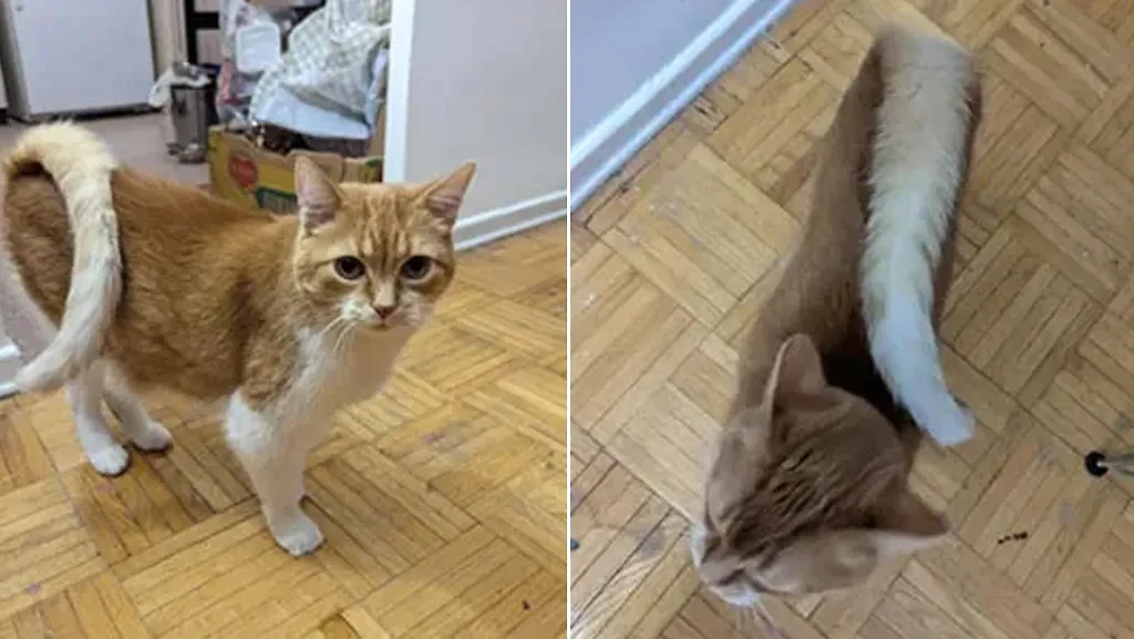 Фото © Reddit / TankArchives