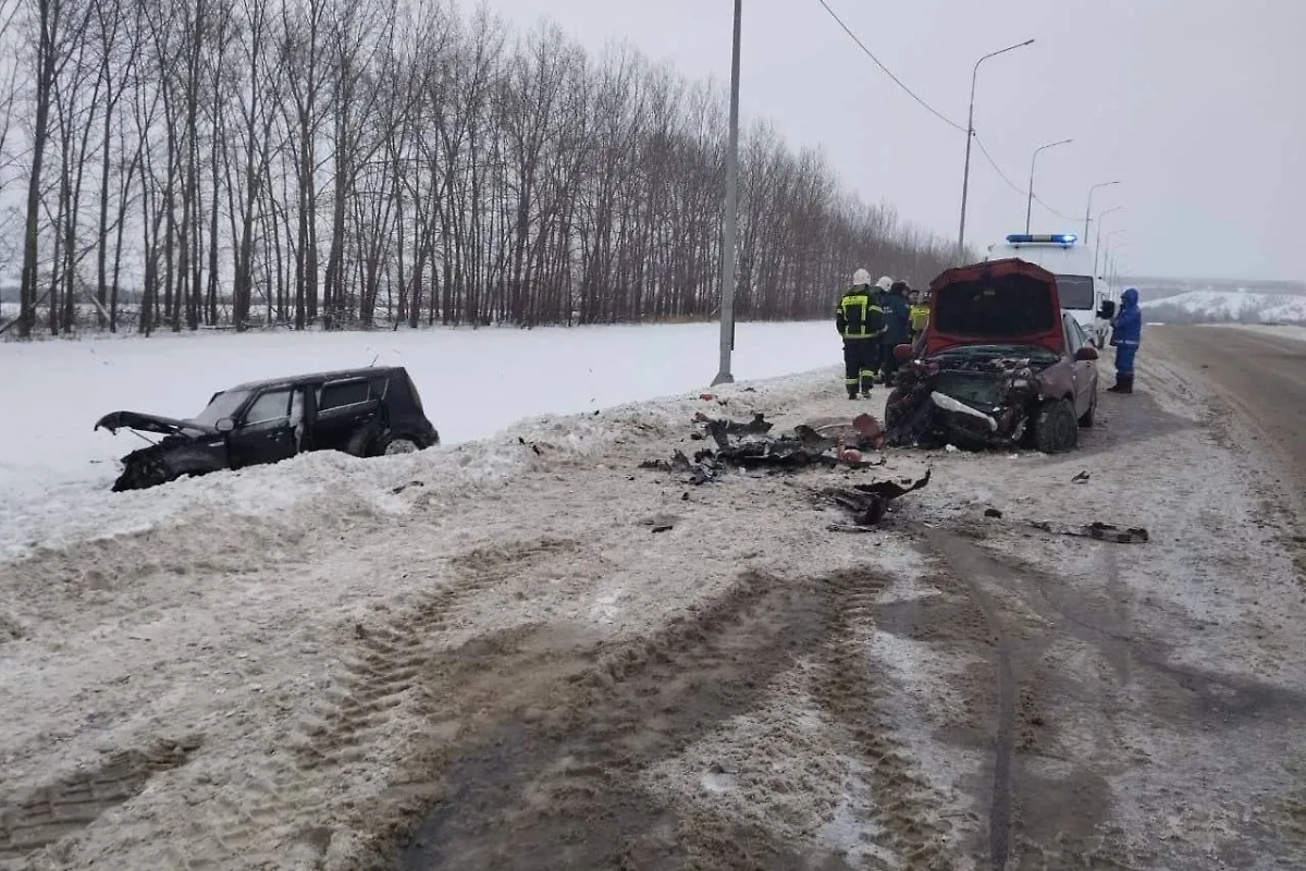 Последствия ДТП в Нижнедевицком районе Воронежской области, в котором погибла девочка. Обложка © t.me / Полиция Воронежской области