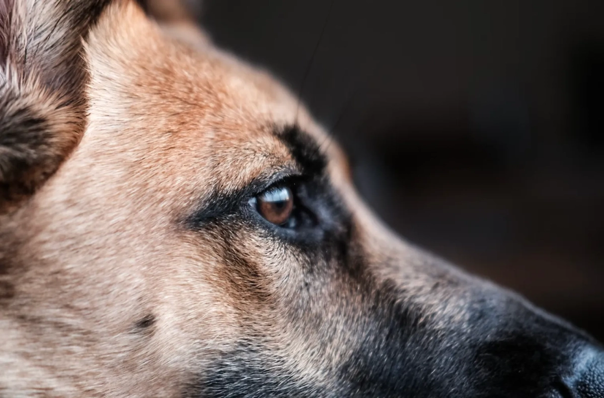 Трёхмесячный ребёнок находится в реанимации в стабильно тяжёлом состоянии. Фото © Lesly Juarez / Unsplash 