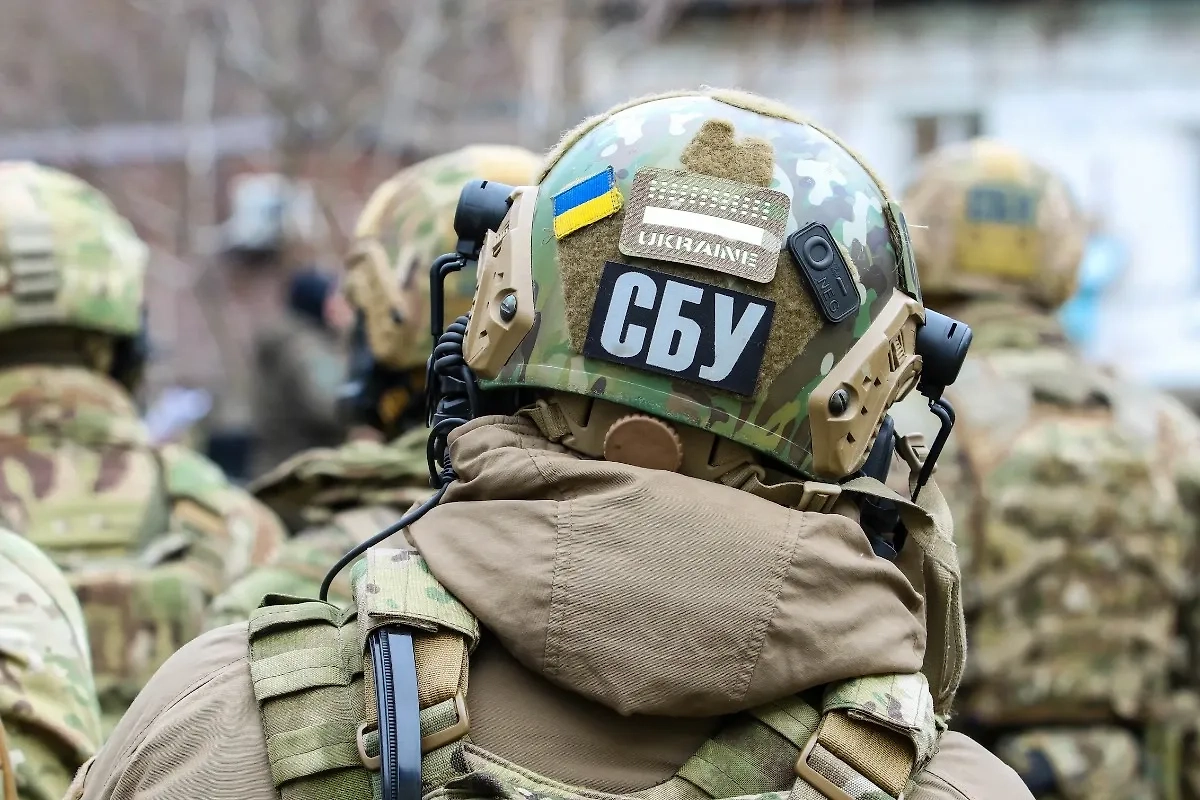 Обложка © Shutterstock