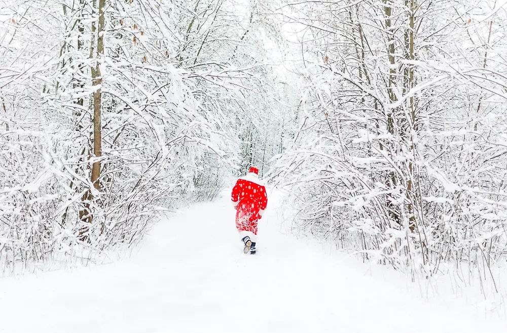 Как быстро вернуться в форму после новогодних каникул. Фото © Shutterstock