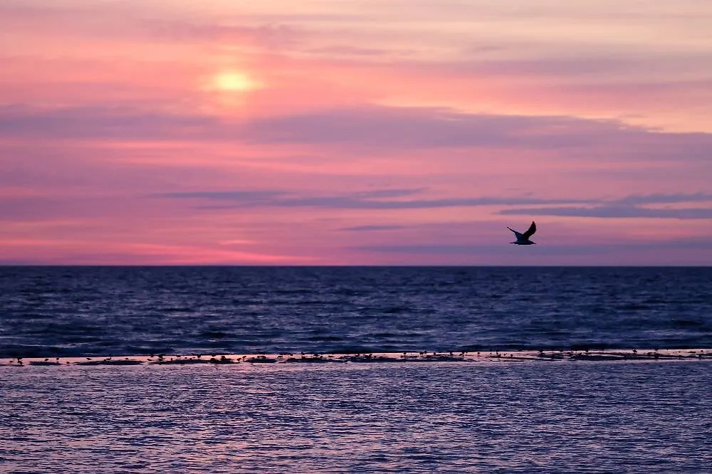 Фото © ТАСС / Алексей Коновалов 