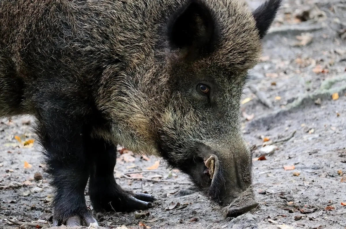 Обложка © Shutterstock