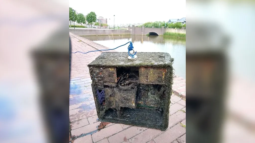 Фото © Reddit / Xaixar