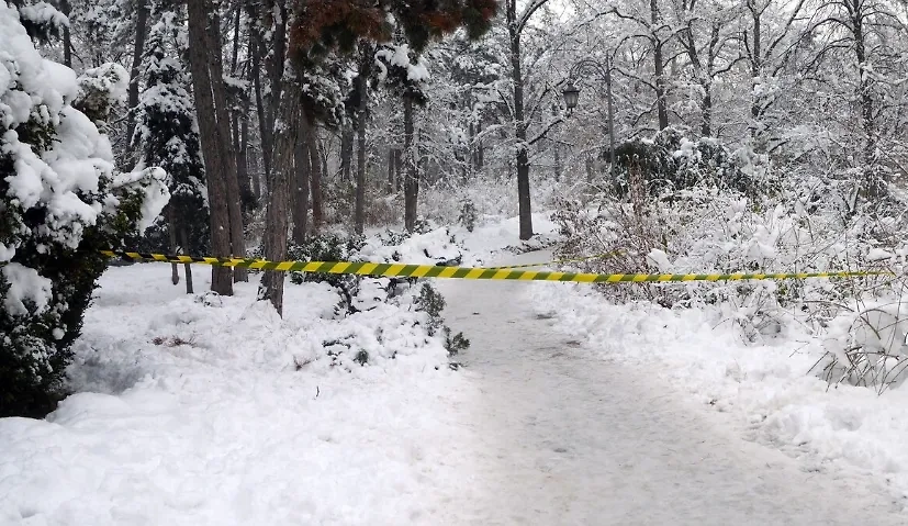 Фото © Wirestock / Freepik 