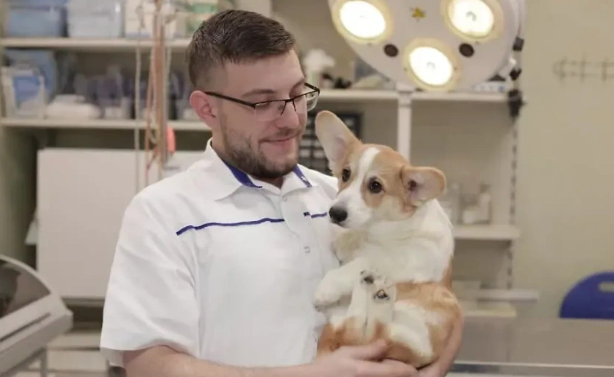 Зурико Маргия. Фото © Vk / Злой ВЕТЕРИНАР