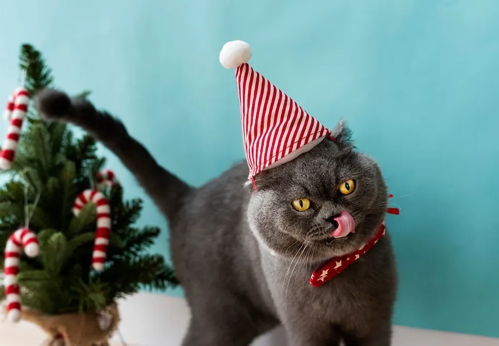 Обложка © Freepik / rawpixel.com