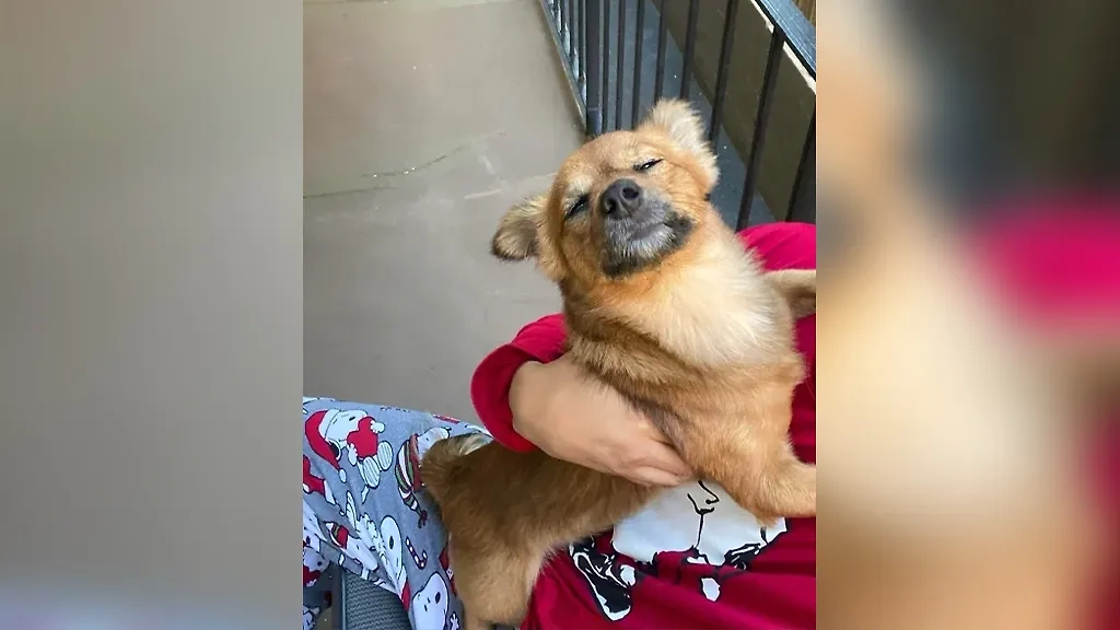 Фото © Reddit / RARA64HUNNID