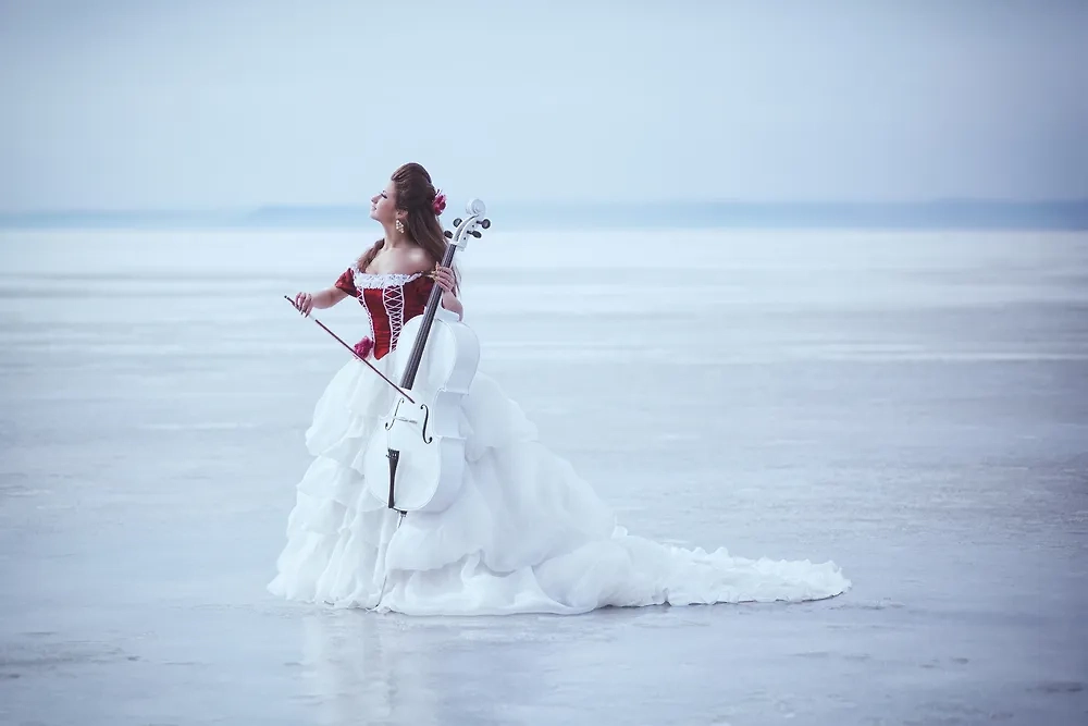 29 декабря отмечается Международный день виолончели. Фото © Shutterstock