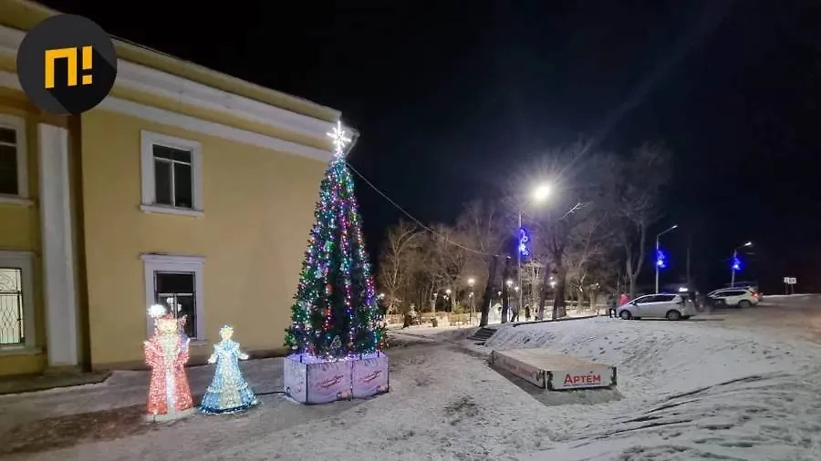 Светящиеся в темноте фигуры Деда Мороза и Снегурочки в Приморском крае, которые напугали местных жителей. Обложка © Telegram / "Подъём"