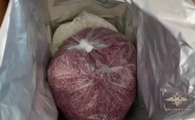 В Волгоградской области пресечена деятельность банды, продававшей наркотики. Обложка © МВД России