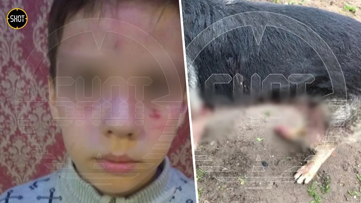 Двое мужчин избили ребёнка и порезали собаку, защищая куриц под Калугой. Обложка © Telegram / SHOT