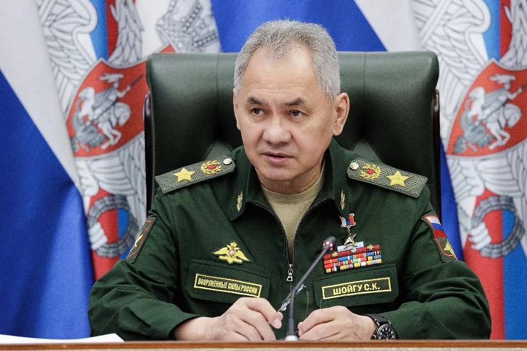 Министр обороны России Сергей Шойгу. Обложка © ТАСС / Пресс-служба Минобороны РФ / Вадим Савицкий