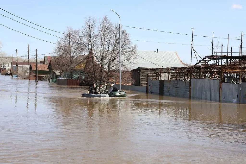 Ситуация в Оренбурге, СНТ "Дубки". Обложка © Life.ru / Илья Исаев