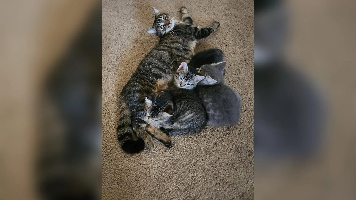 Фото © Reddit / Cycles_wp