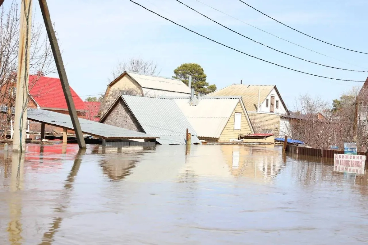 Паводок в Оренбурге, СНТ "Дубки". Обложка © Life.ru / Илья Исаев