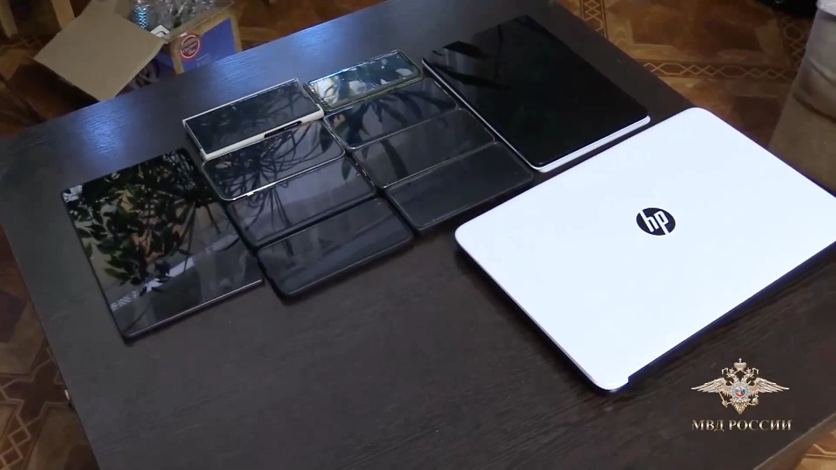 Обыски по делу о незаконной банковской деятельности в Волгограде. Фото © Telegram / Ирина Волк