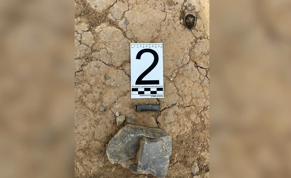 Гильза после убийства фермером девушки из Ростовской области. Фото © Telegram / Ростовский следком