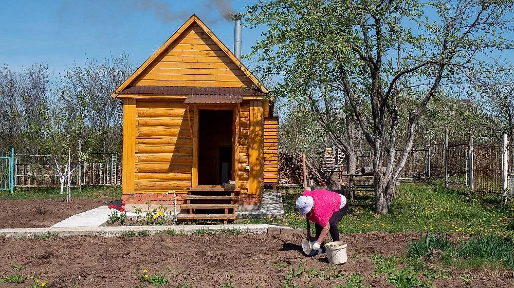 Строители рассказали, как выбрать земельный участок. Обложка © ТАСС / Оксана Король
