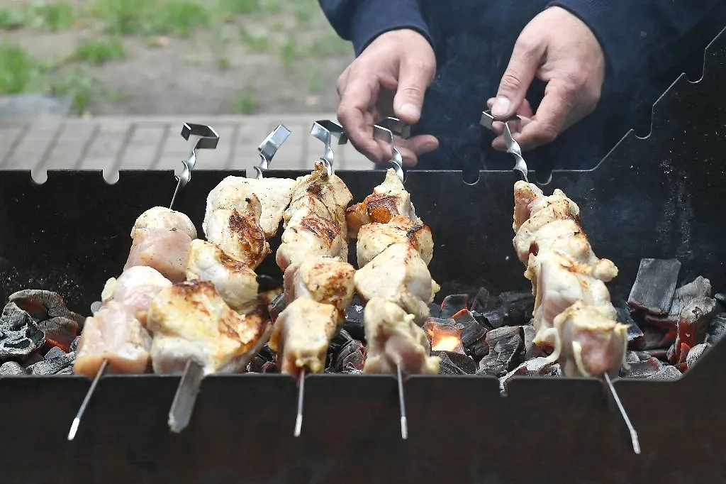 Россиянам рассказали, как выбрать мангал. Обложка  © ТАСС / Максим Григорьев