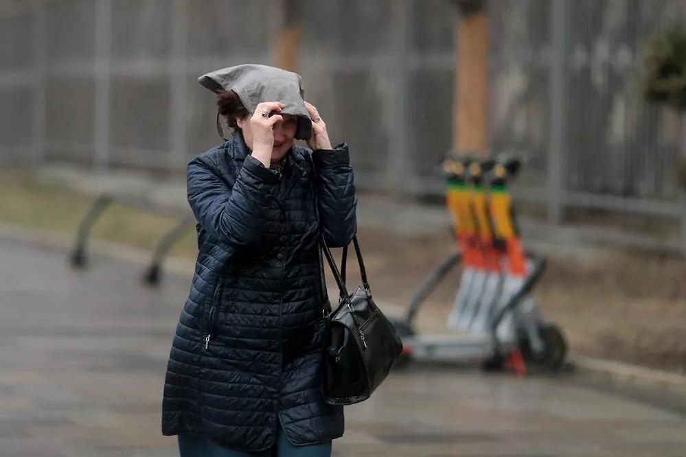 Обложка © АГН "Москва" / Василий Кузьмичёнок