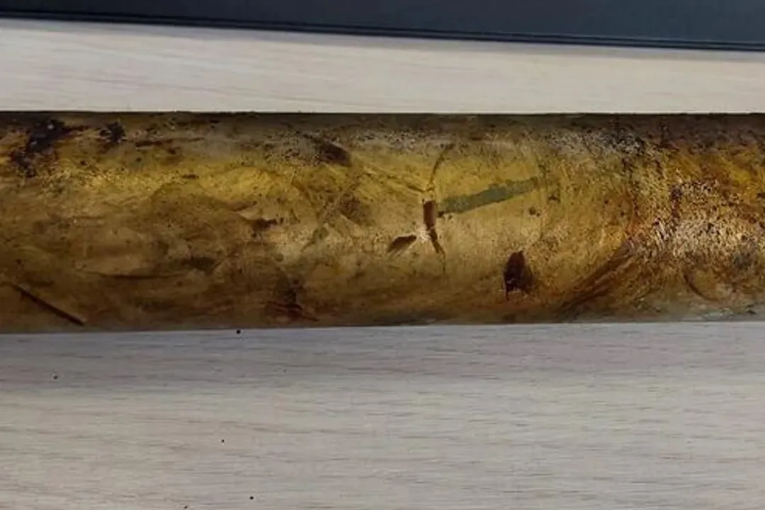 На Сахалине в памятнике Ленину была найдена капсула времени 1970 годов. Обложка © Telegram / Дмитрий Любчинов