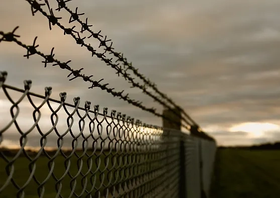 Эстония застроит приграничные участки с Россией. Обложка © freepik / mb-photoarts