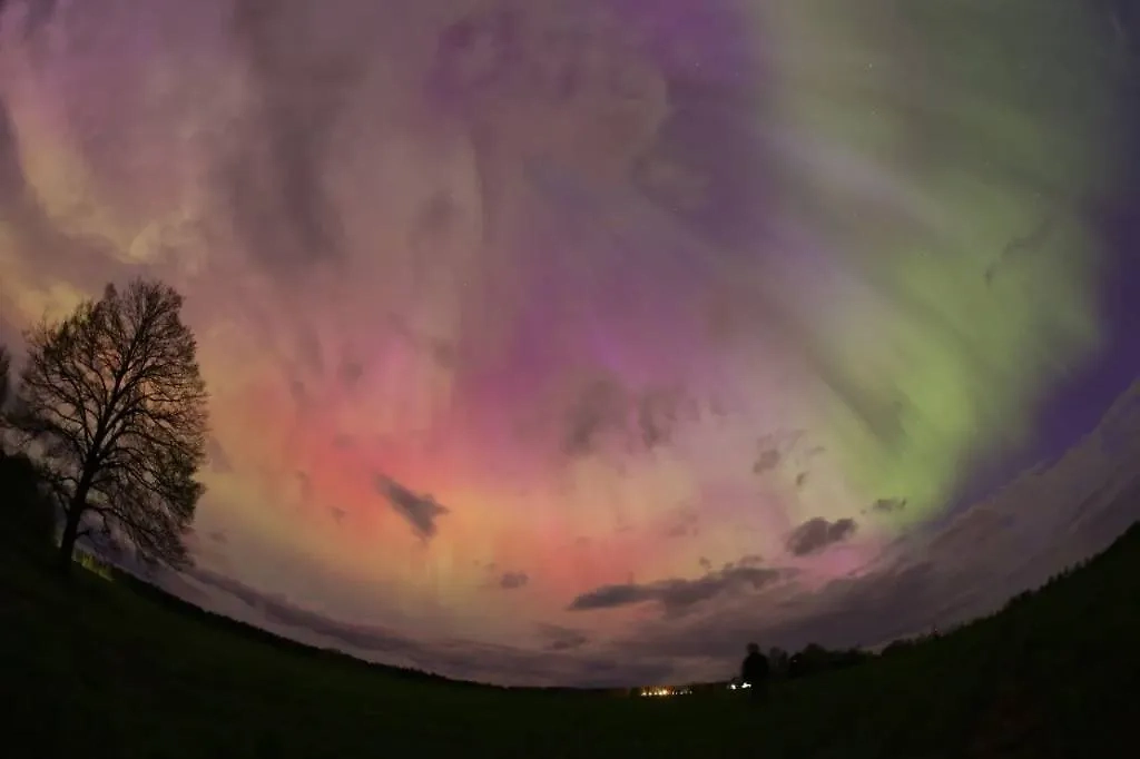 Сияние в Ленинградской области. Обложка © Telegram / Выборг сияет