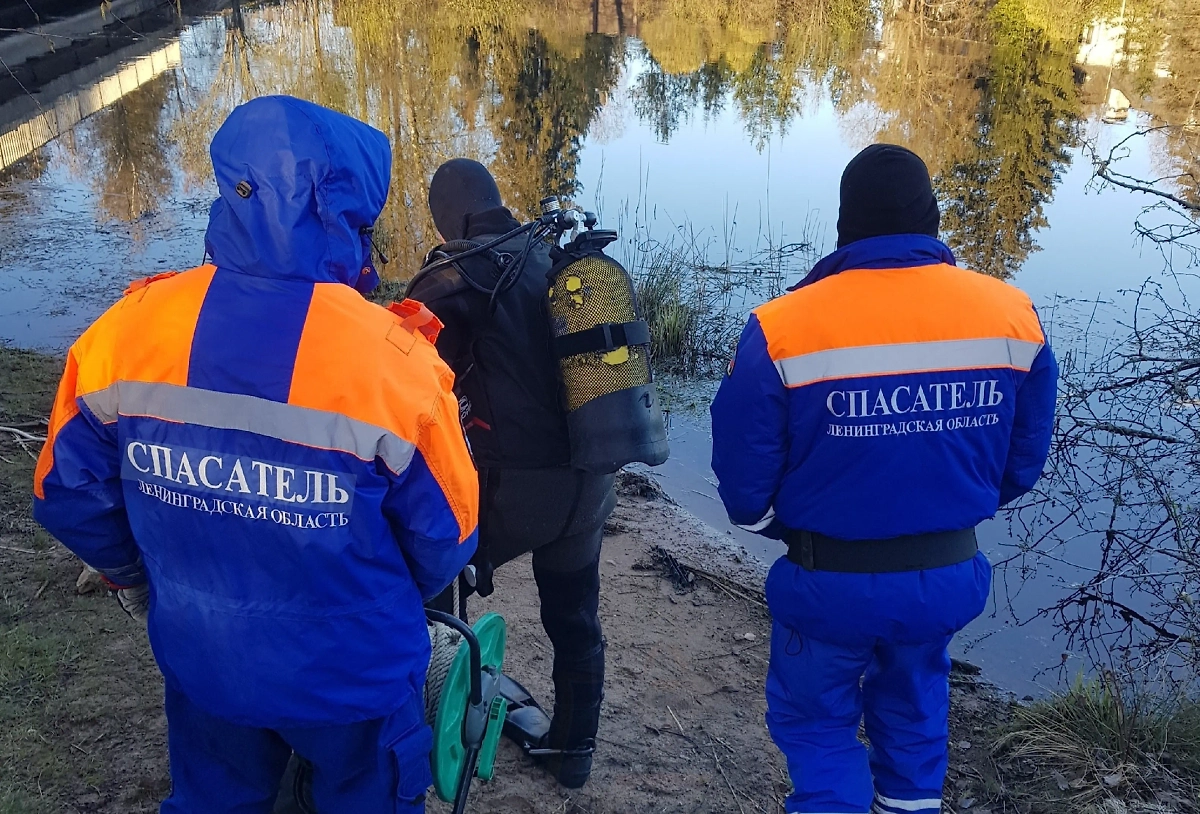 Место падения автомобиля в реку Рощинку Ленобласти. Фото © Аварийно-спасательная служба ЛО