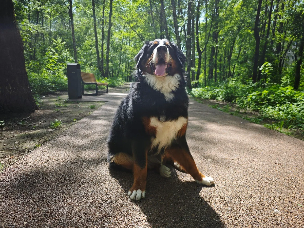 Фото, снятое на Xiaomi 14 Ultra © Life.ru / Илья Исаев