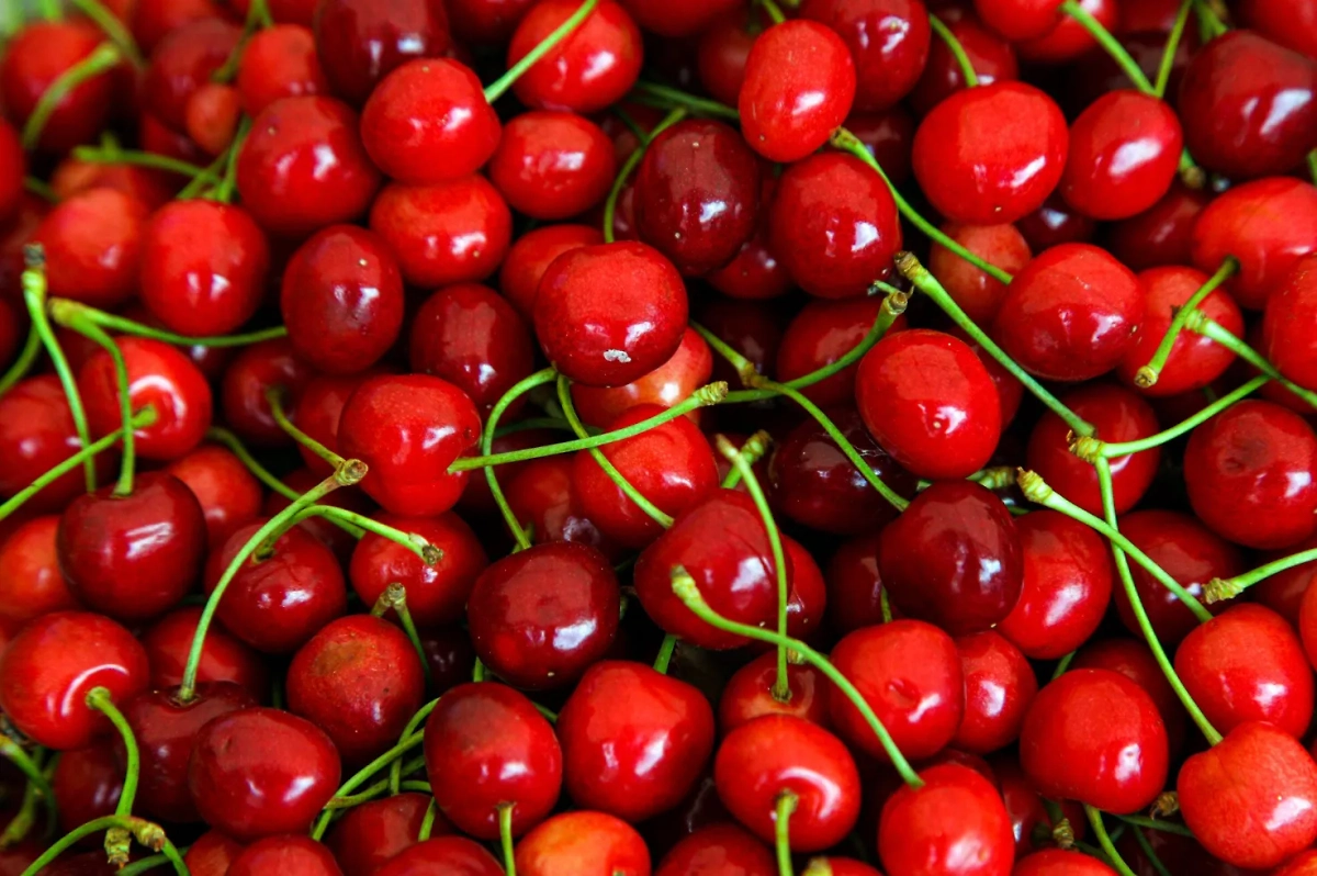 Если черешня не блестит, скорее всего, её собрали уже давно. Обложка © Freepik.com/azerbaijan-stockers