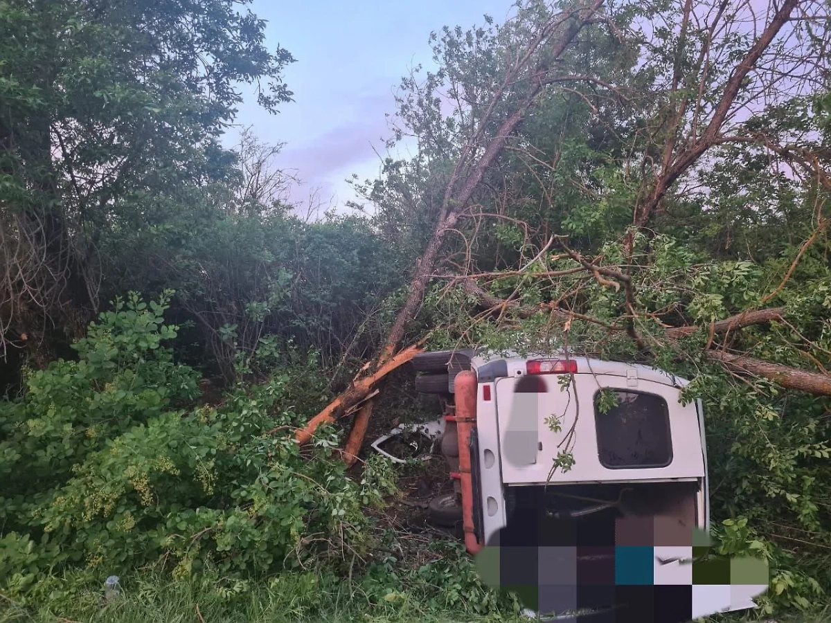 Фото с места ДТП с маршруткой в Ставропольском крае, где в результате аварии погибли два человека. Обложка © Telegram / Госавтоинспекция Ставрополья
