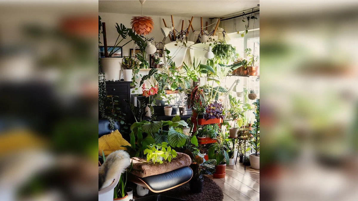 Фото © Reddit / carrotteapot