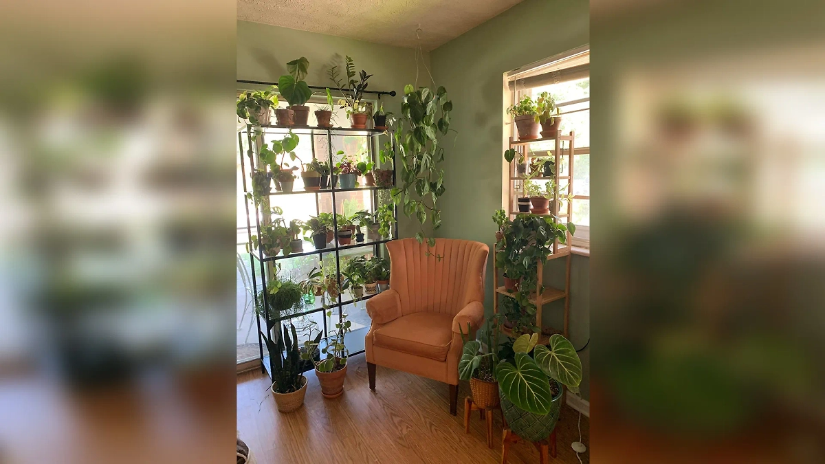 Фото © Reddit / H***plant