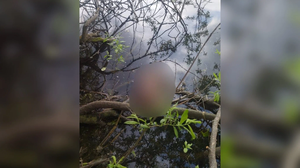 Тело новорождённого мальчика нашли в реке в московских Кузьминках. Фото © Telegram / ПРОКУРАТУРА МОСКВЫ