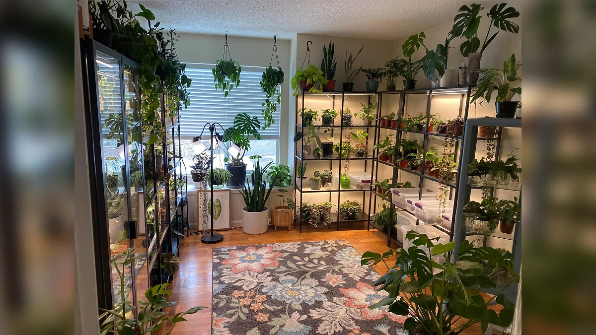 Фото © Reddit / Kathleensplants