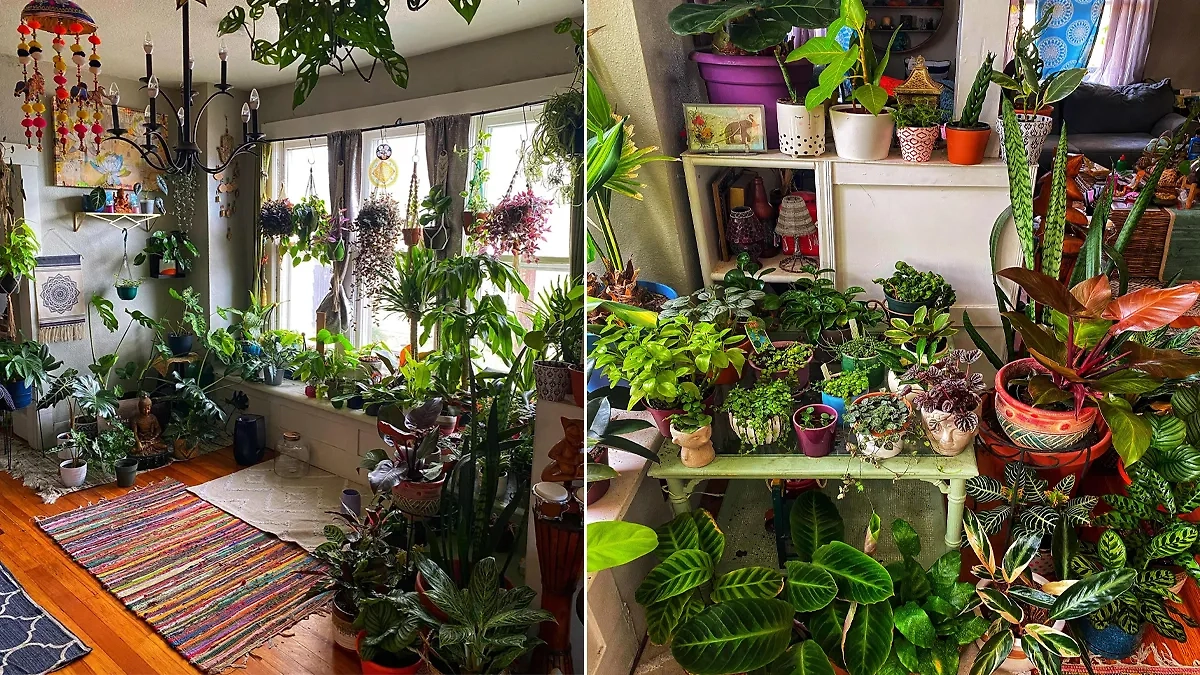 Фото © Reddit / asbestosguy777 