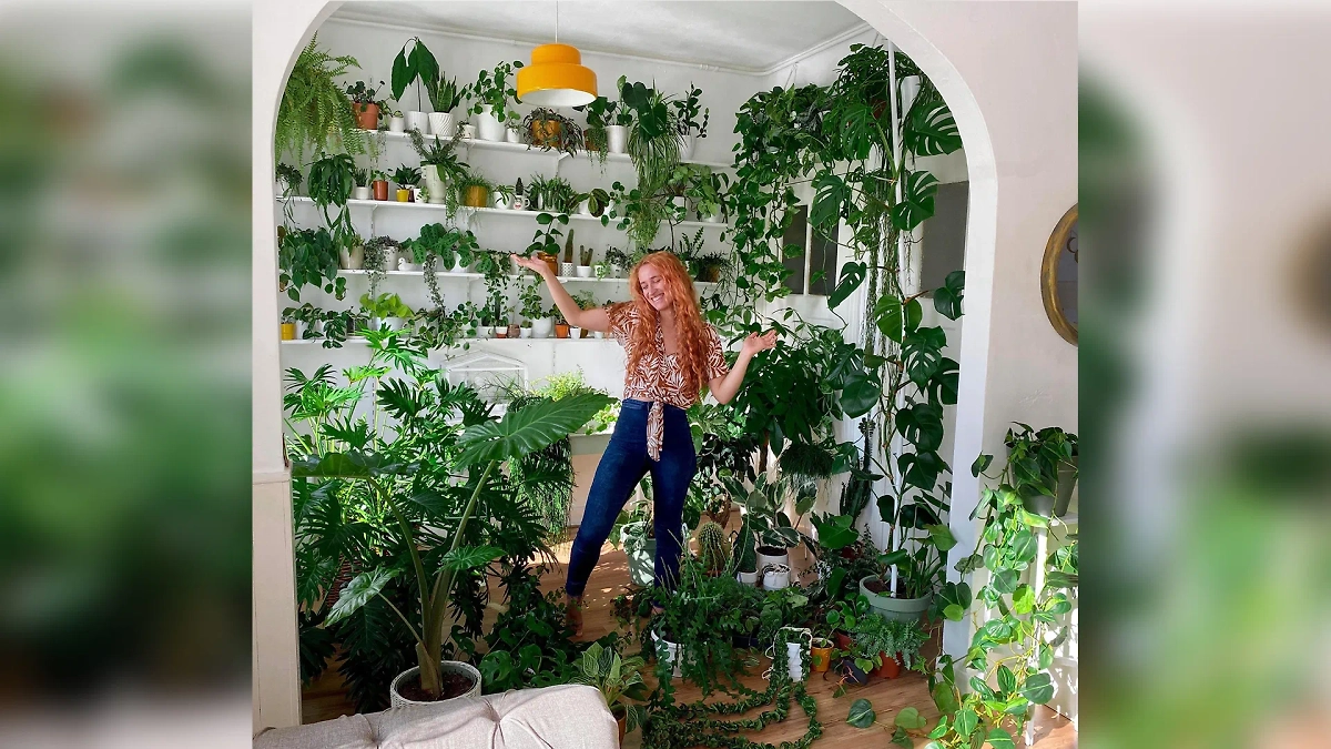 Фото © Reddit / catnamedred