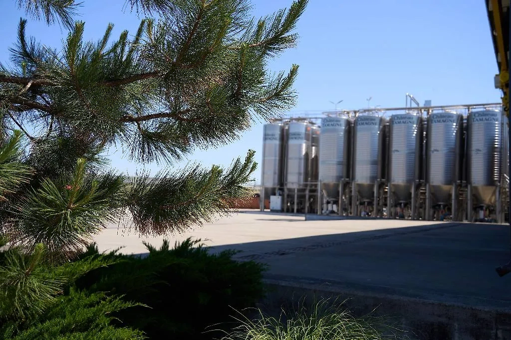 Дарья Молодцова с мужем и друзьями в винодельне на Кубани. Фото © Предоставлено Life.ru / Ташматова Наталья