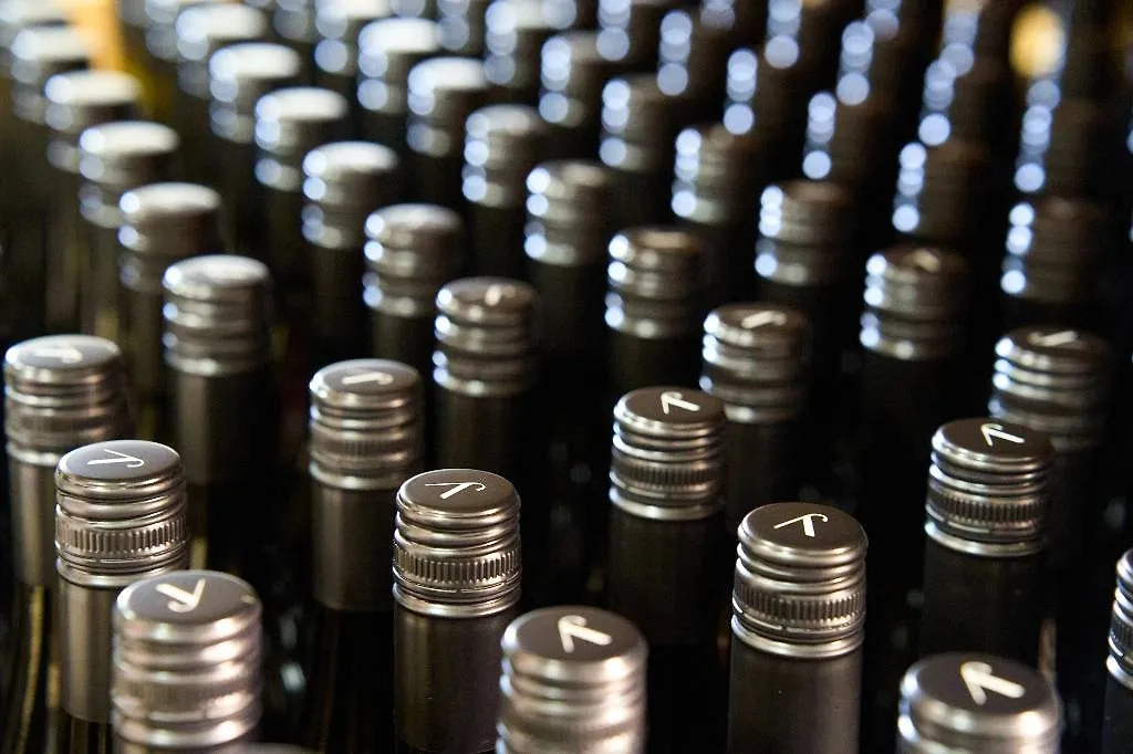 Дарья Молодцова с мужем и друзьями в винодельне на Кубани. Фото © Предоставлено Life.ru / Ташматова Наталья