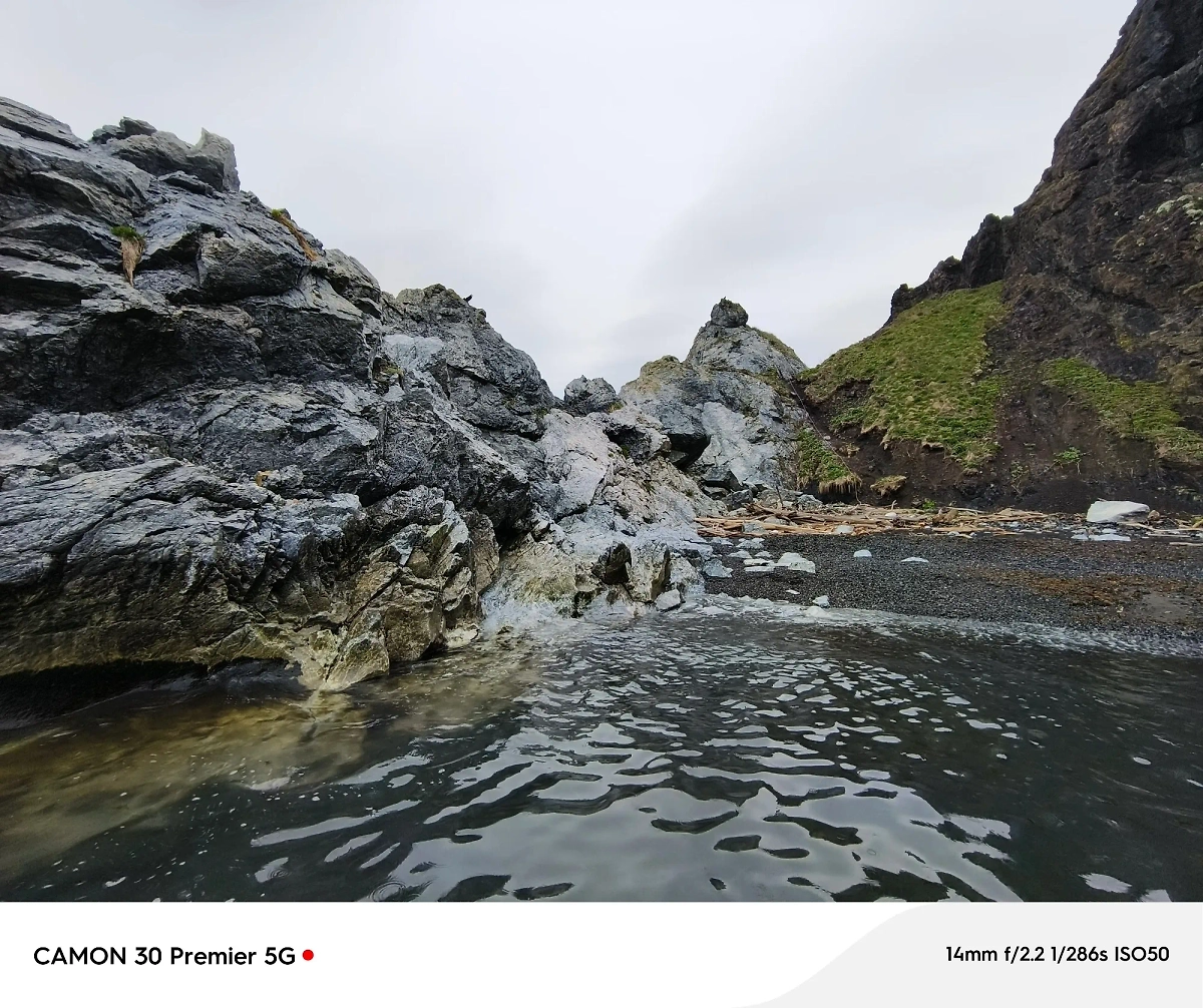 Фотография природы, снятая на TECNO CAMON 30 Premier 5G. © Life.ru / Роман Кильдюшкин