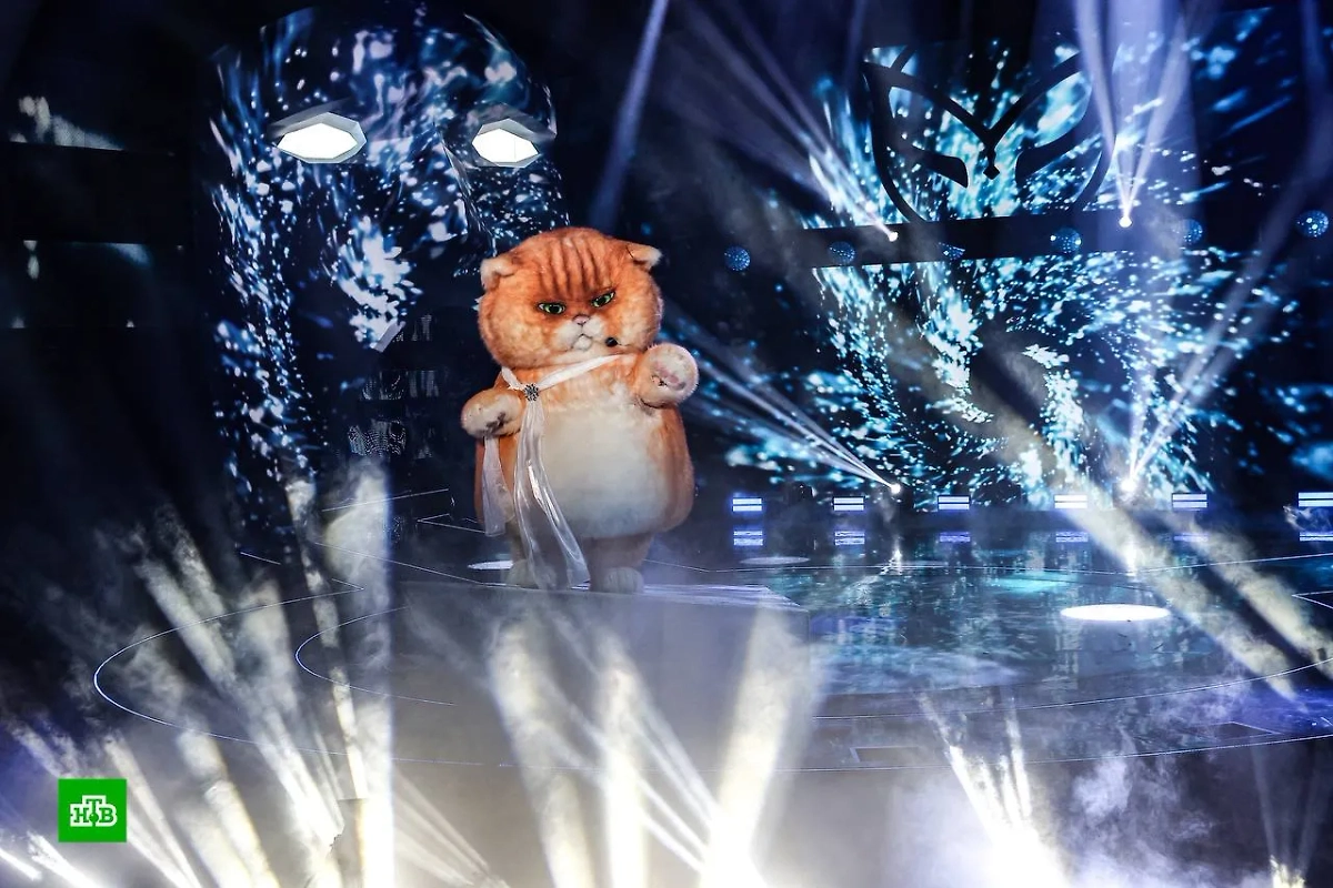 Кем оказался Кот, попавший в финал шоу "Маска". Угадают ли судьи, кто прячется за маской Кота? Фото © t.me / Маска