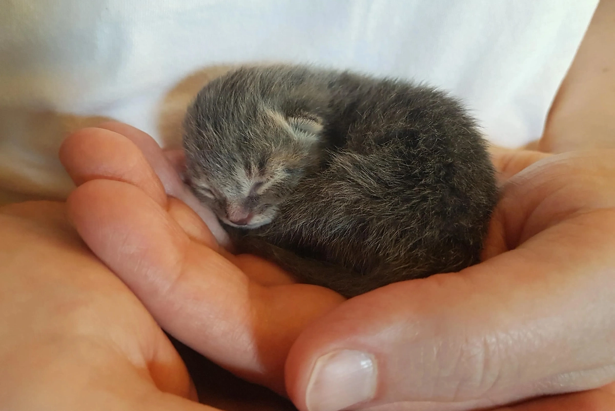 Фото © Reddit / trying-to-be-kind