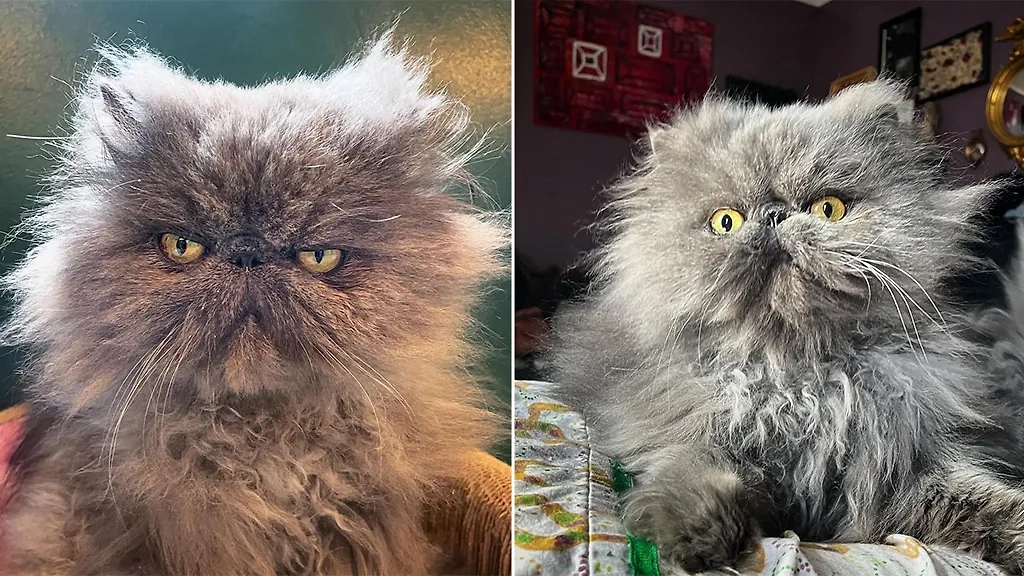 Фото © Instagram (соцсеть запрещена в РФ; принадлежит корпорации Meta, которая признана в РФ экстремистской) / morgusthemagnificent