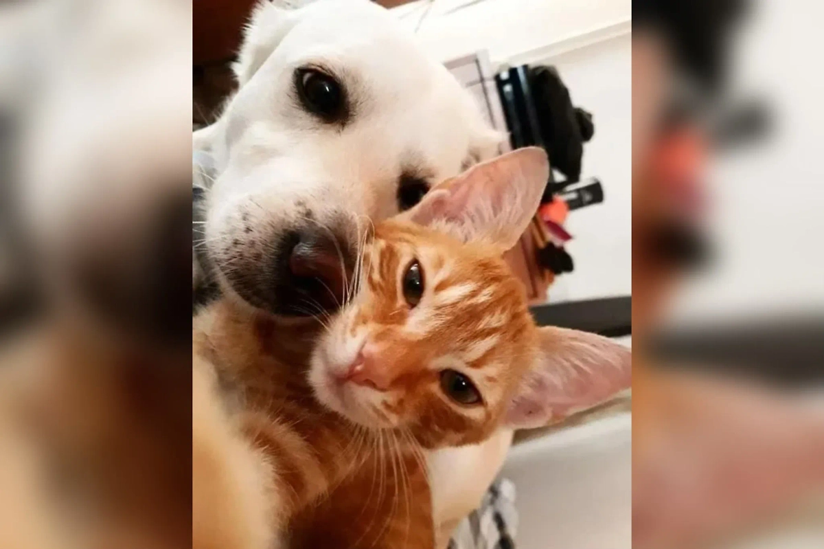 Фото © Reddit / yourladymeme