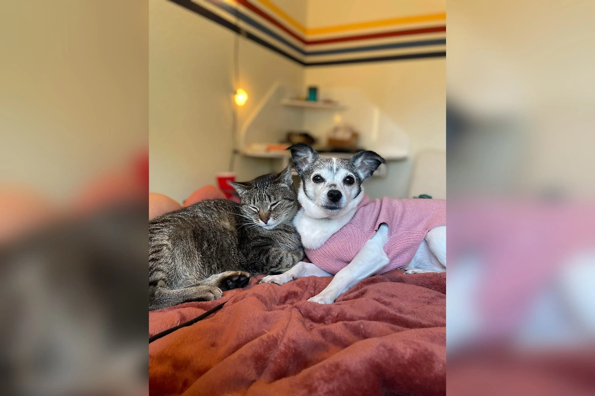 Фото © Reddit / zoochild