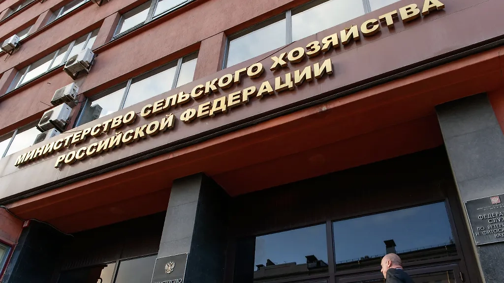 Фото © ТАСС / Васев Стоян