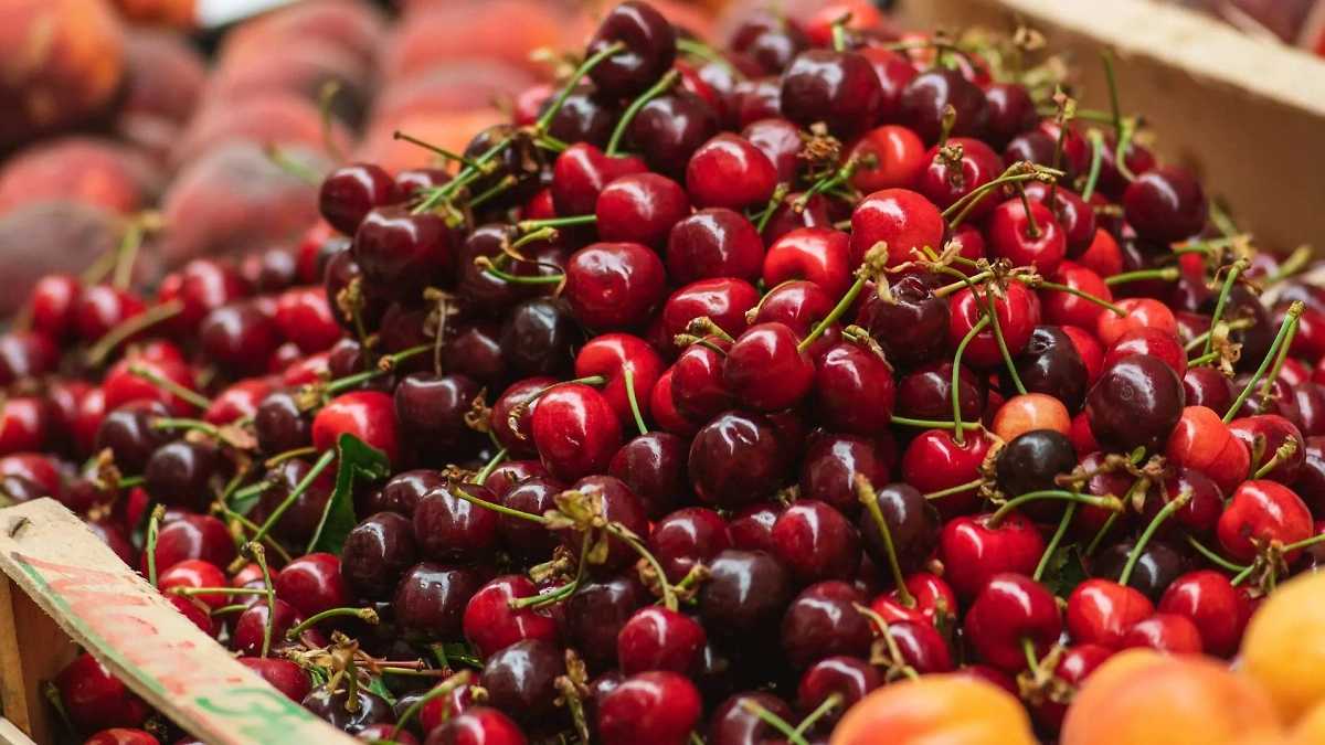 Существуют морозостойкие сорта черешни. Фото © Shutterstock / FOTODOM / Michele Ursi