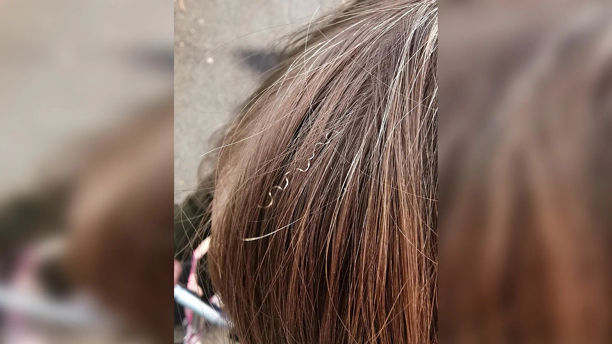 Фото © Reddit / WeNamedTheDogIndi