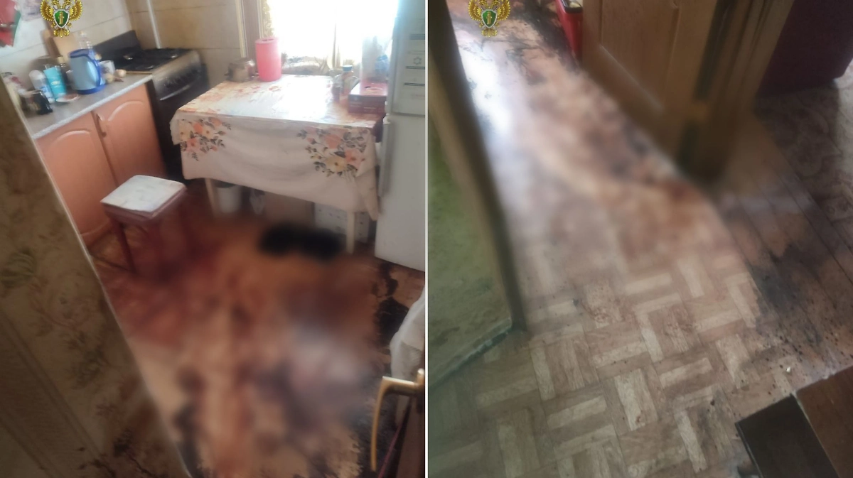 Место преступления. Обложка © Telegram / Прокуратура Московской области